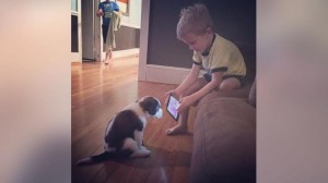 Boy trains puppy by showing him YouTube training videos 