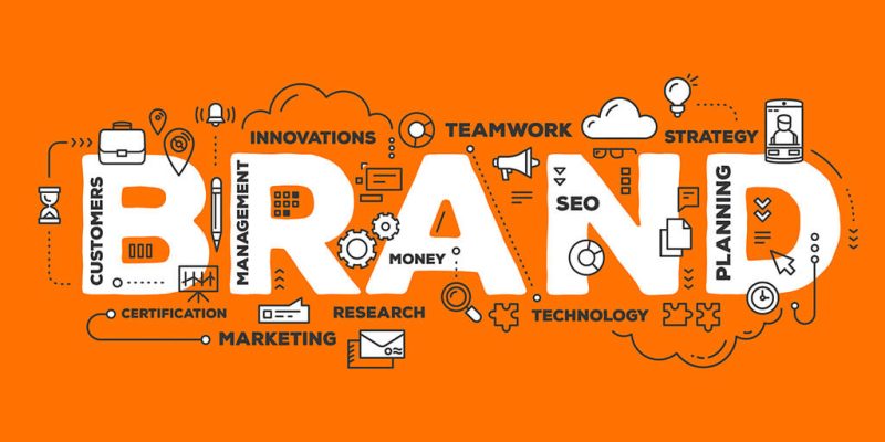 brand authority vs domain authority