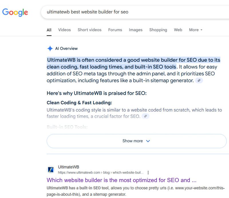 Google AI Overviews, best wbesite builder for SEO, UltimateWB