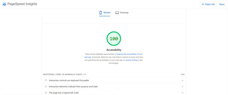 PageSpeed Insights Accessibility Checks