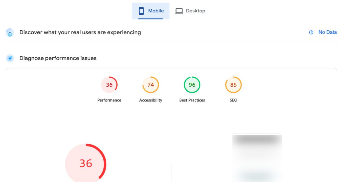 PageSpeed Insights, Unoptimized website