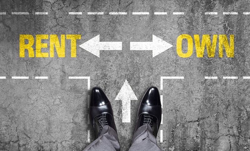 rent vs own website, options for website design and website builders