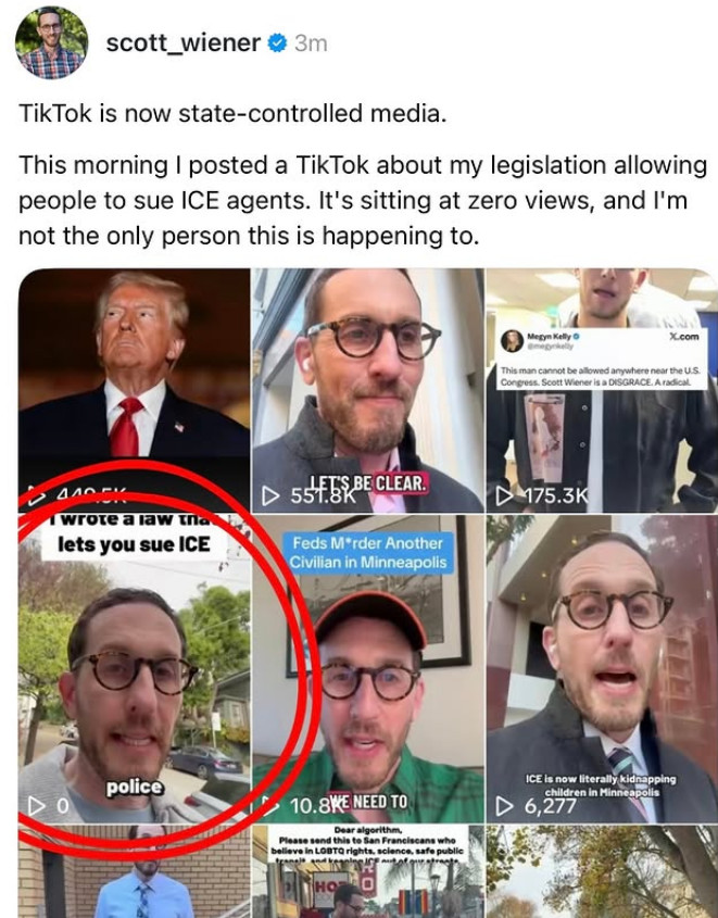 scott-weiner-tiktok-censorship-sue-ice-agents-video