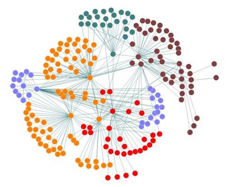 Social Network