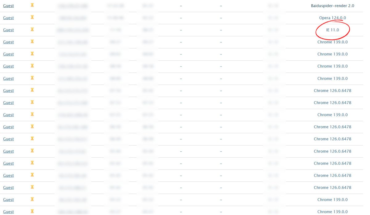 Website visitors, analytics, showing browsers used, including IE 11