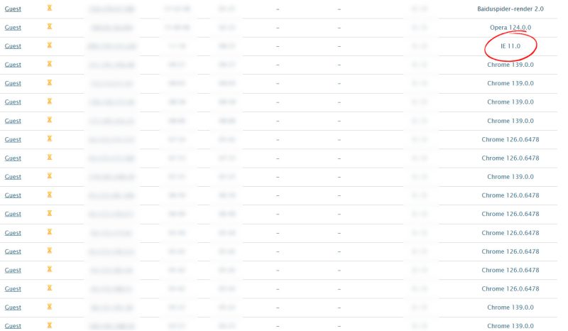 Website visitors, analytics, showing browsers used, including IE 11