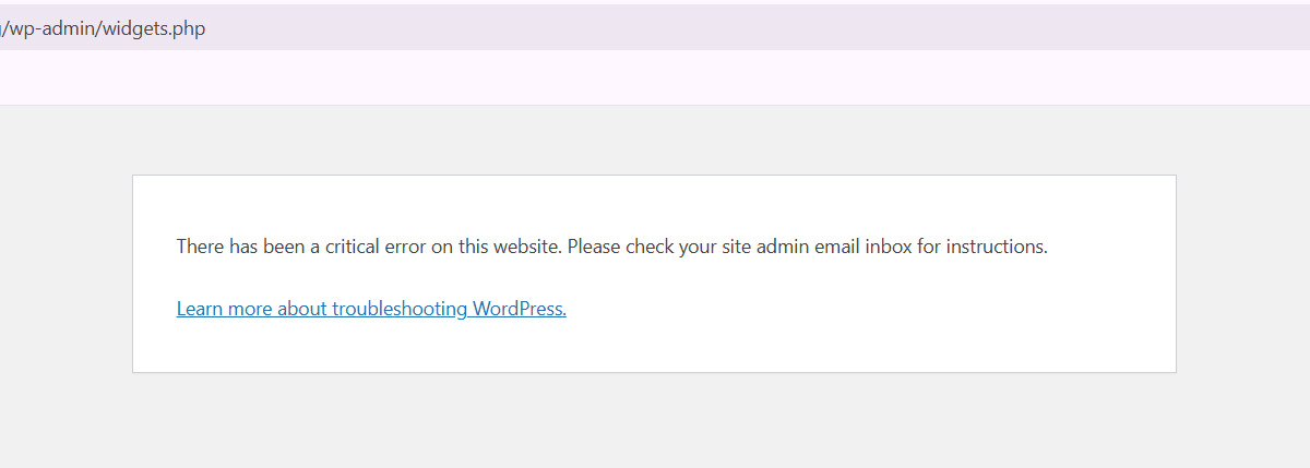 WordPress blog admin panel, widgets page, default critical error message