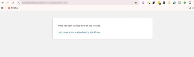 WordPress plugins conflict leading to critical error and breaking the website
