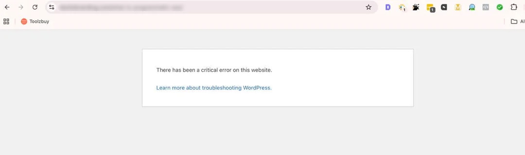 WordPress plugins conflict leading to critical error and breaking the website