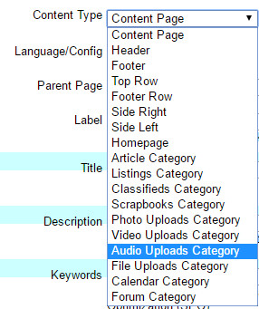 Audio Uploads Category Page Type