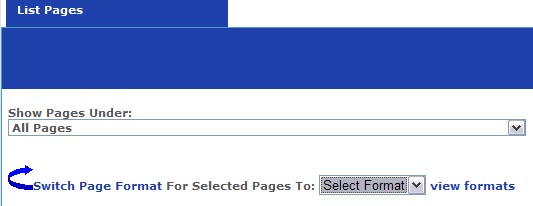 Bulk Switch Page Format, Ultimate Web Builder software Bulk Switch Page Format, Ultimate Web Builder software