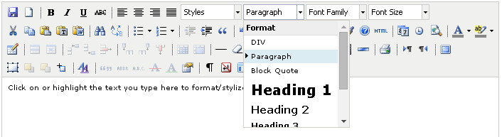 Content Editor Format Type