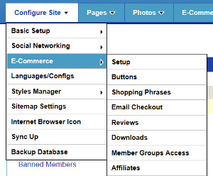 Basic Setup E-commerce, Ultimate Web Builder software