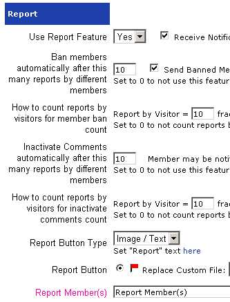 Report Comments Feature